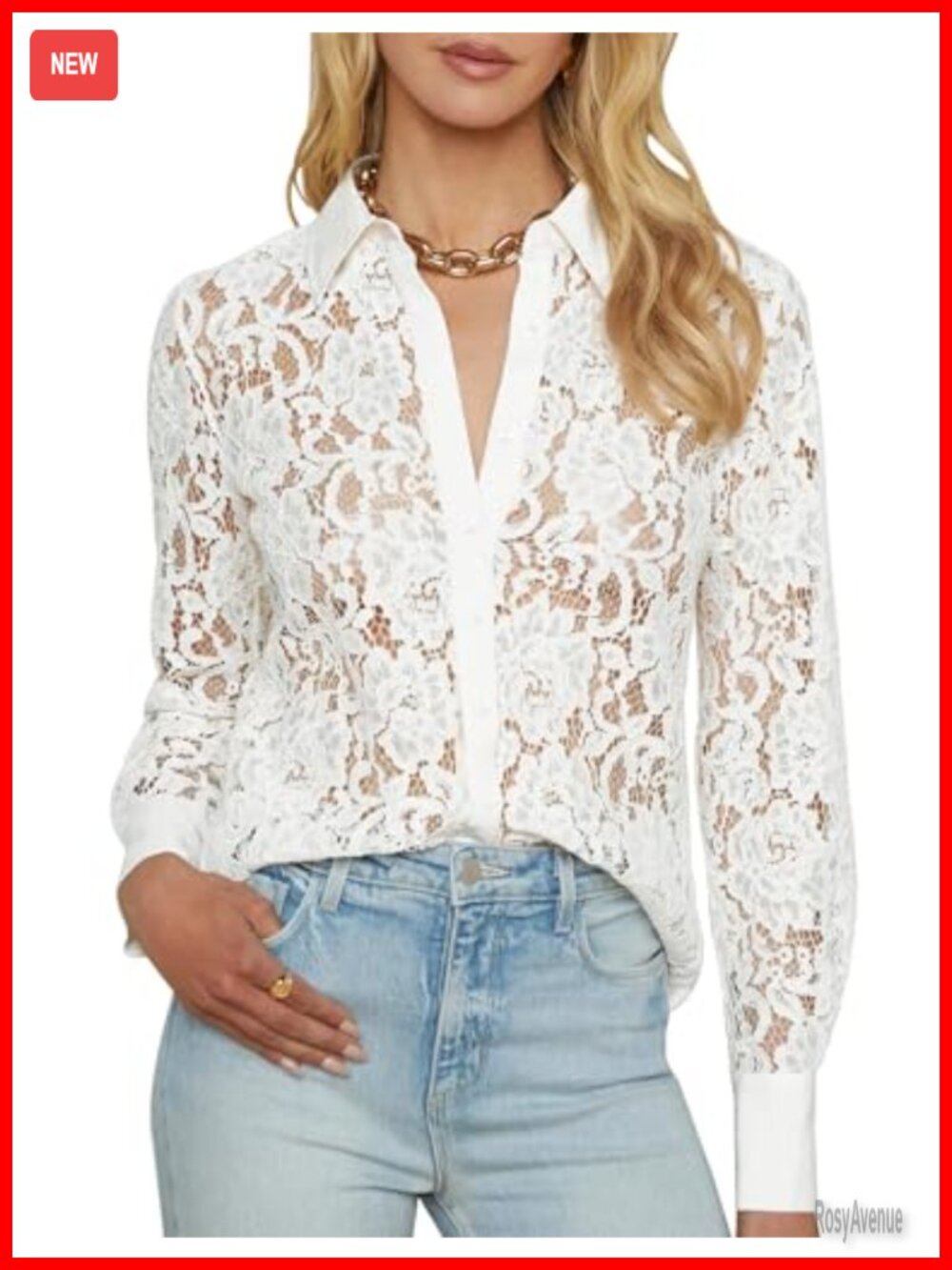 Women's Sheer Lace Long Sleeve Blouse Dressy Casual Button Down Shirt